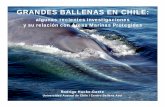 GRANDES BALLENAS EN CHILE - cpps.dyndns.infocpps.dyndns.info/cpps-docs-web/planaccion/docs2011/mayo/taller... · 5 Ballena azul Población/Éxito Reproductivo 70 6 Ballena jorobada