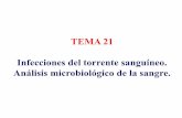 TEMA 21 Infecciones del torrente sanguíneo. Análisis ...asignatura.us.es/mbclinica/docs/recursos/12/tema-21.pdf · • Uso prolongado de antibióticos de amplio espectro ... microorganismos