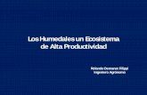 Los Humedales un Ecosistema de Alta Productividadpraderasypasturas.com/rolando/01.-Catedras/01.-Praderas_y_Pasturas/... · La convención definió como humedales a un amplio ... El