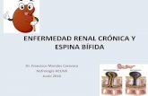 ENFERMEDAD RENAL CRÓNICA Y ESPINA BÍFIDAanpheb.es/wp-content/uploads/2016/06/PONENCIA-ENF-RENAL-CRONICA.pdf · vejiga neurógena de origen congenito como es la espina bifida una