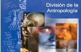 División de la Antropología - Libro Esotericolibroesoterico.com/biblioteca/metafisica/Division de-La... · Pescados, anfibios, reptiles Mamíferos. Especies más simples y al final