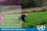 Desafios ONU Honduras octubre 2010 - unicef.org · en temas como pobreza, gobernabilidad, medio ambiente, manejo de desastres, Objetivos de Desarrollo del Milenio, tecnología para