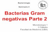 negativas Parte 2 Bacteriología Bacterias Gram · • Muchas especies son flora habitual • Dos especies patógenas: ... Oftalmía neonatal: infección ocular purulenta ...