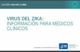 VIRUS DEL ZIKA: INFORMACIÓN PARA MÉDICOS CLÍNICOS · diferencial de la infección por el virus del Zika es amplio. Las opciones a considerar incluyen. Pruebas de diagnóstico del
