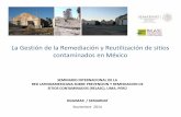 La Gestión de la Remediación y Reutilización de sitios ... · Programa de Remediación evaluado por SEMARNAT ... • Transporte de los suelos contaminados y residuos a 2 celdas