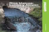 Ríos tóxicosm.greenpeace.org/mexico/Global/mexico/Docs/2014/toxicos/Rios... · nacional sobre las descargas al agua. 7 ... pueden entrar en la cadena alimentaria. ... de fábricas