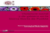 Violencia social en la Sierra Norte Puebla - indesol.gob.mxindesol.gob.mx/download/...violencia-social-genero/OV09-01-2.pdf · normas, principalmente las siguientes: NOM‐005‐SSA2‐1993‐De