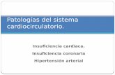 Patologías del sistema cardiocirculatorio. · en la IC anterógrada predominan las manifestaciones clínicas derivadas de un aporte insuficiente de sangre al sistema arterial y,