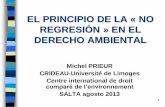 EN EL DERECHO AMBIENTAL - escuelamagistratura.gov.ar · Art.12 Convenio Europeo del Paisaje ... Peru (2012): no reducir las normas, ... art. 37 Carta de los derechos