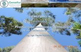 Material forestal reproductivo - arp.org.py · manejo de plantines. Controles de temperatura, humedad para enraizamiento. ... Criterios de selección Se consideran los arboles mas