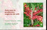 Guía para la producción orgánica de café - ecosaf.orgecosaf.org/tropico/Cartilla.SAF.Endversion.pdf · favorecer la selección de los mejores plantines. El material para el soporte
