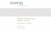 NAMA Probiomasa Taller Inicial Probiomasa_Introduccion FR.pdf · Plan de trabajo > Equipo de expertos ... Diferencia entre NAMA y el MDL ... Tipo de actividad -Estratégia - Política