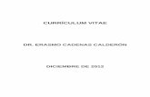 CURRÍCULUM VITAE · Cargo Actual: Profesor Investigador Titular “C”. Institución: ... Erasmo Cadenas Calderón, “ Perspectivas de la energía eólica en México ”,
