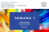 EXPLOSIÓN DE SALUD,ENERGÍA Y VITALIDAD CON …spanda-ayurveda.com.mx/wp-content/uploads/2018/03/SEMANA-1... · • Ayur- Vida / Longevidad ... Conocimiento completo y profundo de
