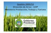 Dirección de Arroz ‐‐ UOP · ¾Producción sustentable y mejora de rendimientos en productores de ... • BUENAS PRACTICAS DE MANUFACTURA. ... Director Arroz – Ministerio Producción