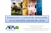 Prevención y control de Salmonella en la industria avícola · vehículos de transporte. ... efectividad del aseo. • Vacío sanitario: 1 mes promedio. Vacunación . La vacunación