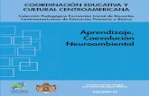 Aprendizaje, Coevolución Neuroambientalrepositorio.uned.ac.cr/multimedias/neurologia_infantil_basica/pdf/... · en Neurodesarrollo y Discapacidad Infantil ... económica del Gobierno