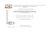 UNIVERSIDAD NACIONAL AUTÓNOMA DE MÉXICO CENTRO …bole/eboletin/TesisZHM0808.pdf · universidad nacional autÓnoma de mÉxico centro de geociencias mapa de susceptibilidad a procesos