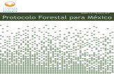 Versión 1.4 18 enero 2017 Protocolo Forestal para México · (Nota: la afiliación a la ... Elsa Esquivel Ambio Jose Carlos Fernández Comisión Nacional Forestal Eugenio Fernández