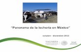 “Panorama de la lechería en México”infosiap.siap.gob.mx/opt/boletlech/bbolet_4totrim2013.pdf · correspondenden a las publicadas en el VI Informe de Gobierno de la administración