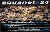 junio 2001 revista virtual de buceo - SENSACIONES.org · Apartado de correos 5106 (08080 BARCELONA) ... El ecosistema marino mediterráneo, guía de su fauna y su flora. ... Reparto