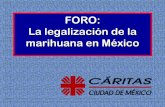 FORO: La legalización de la marihuana en México · cumplido y que otorga la aprobación a determinadas acciones, actos o circunstancias. Cuando hablamos de LEGALIDAD ... Estudio
