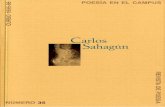 Carlos Sahagún. Poesía en el Campus, 35 (curso 1995-1996)ifc.dpz.es/recursos/publicaciones/28/02/_ebook.pdf · y nace quizá con el afán de perdurar, ... como fluye el río por