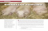 BiEnEstar porcino - axonveterinaria.netaxonveterinaria.net/.../criaysalud/1/cys_1_Bienestar_porcino.pdf · 2. La rentabilidad. 3. La productividad. 4. La protección del medio ambiente.