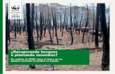 ¿Recuperando bosques o plantando incendios?awsassets.wwf.es/downloads/incendios_forestales_2010_lr_1.pdf · cho en el 99,8% de los casos se consigue apagar los incendios antes de