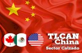 Lic. Alejandro Gómez Tamez Presidente Ejecutivodusselpeters.com/CECHIMEX/20181402TLCANChinaGomezTamez.pdf · El costo para el cumplimiento de la documentación para importar en china