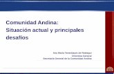 Comunidad Andina: Situación actual y principales desafíos · proceso de integración de la Comunidad Andina ... Medio Ambiente. 7. Turismo. 8. Seguridad. 9. ... Funcionamiento Red