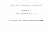 PROPUESTA DE MODIFICACIONES EN LOS TRABAJOS … · -Curtis, H. & N.S. Barnes. 2004. Biología. 6ta ed. en español. Ed. Médica ... Sistema nervioso de los platelmintos y la relación