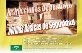 GESTIÓN DE LA PRL EN ALMAZARAS. INSTRUCCIONES … · 10 Gestión de la prevención de riesgos laborables en almazaras de aceite de oliva 1. El Manual de Gestión de la PRL: Constituye