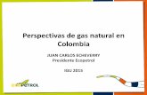 Perspectivas de gas natural en Colombia - igu.org Oct.21.15... · desabastecimiento en 7 años. 2018 Perspectivas 19 GBTUD = Giga British Thermal Unit. Ecopetrol y sus socios Anadarko,
