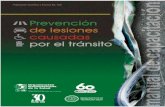 Prevención de lesiones Manual de capacitacióncreandoconciencia.org.ar/enciclopedia/salud/MANUAL-DE-PREVENCION... · La capacitación de recursos humanos para responder ... la preparación