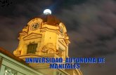 UNIVERSIDAD AUTONOMA DE MANIZALESrepositorio.autonoma.edu.co/jspui/bitstream/11182/850/1/PRESENTAC... · Universidad Autónoma de Manizales en un periodo de 10 años. Un análisis