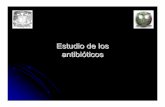 Estudio de los antibióóóticos - [DePa] Departamento de ...depa.fquim.unam.mx/bacteriologia/20082/bacantibio.pdf · lactaminas y glucopéptidos ... Carbapenems. Vancomicina •Es