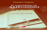 Gustavo Caponi - El darwinismo de Ameghino: una lectura de ...scientiaestudia.org.br/associac/gustavocaponi/CAPONI 2017 El... · elocuente que la elogiosa reseña de Contribución