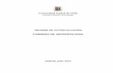 Formato Informe de Autoevaluación Carrera - humanidades.uach.clhumanidades.uach.cl/wp-content/uploads/Informe-Autoev-Antropologia... · Con el objetivo de renovar su acreditación,