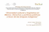 “Diversidad cultural y lingüística en México. Derechos y ... · La diversidad cultural y lingüística es una realidad tan vieja como la humanidad misma y tan variada y necesaria