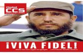 ¡VIVA FIDEL! - redglobe.de · el pueblo cubano por la partida fí-sica del líder revolucionario, Fidel Castro. “En nombre de la noble y leal Ba- ... Tuve el honor de estar al