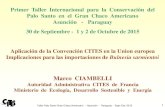 Primer Taller Internacional para la Conservación del Palo ... CITES en... · Taller Palo Santo Gran Chaco Americano - Asunción - Paraguay - Sept./Oct. 2015 6 CONTEXTO UE - 8 de