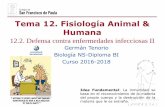 Tema 12. Fisiología Animal & Humanadpbiologia.weebly.com/uploads/2/1/5/5/21553524/gtp_t12.fisiologia... · Respuestas primaria y secundaria Frente a una infección por un determinado