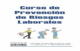 CURSO PREVENCION RIESGOS LABORALES v16 - prahu.org · Los incendios 4.2.6. Manipulación y transporte ... Sistemas elementales de control de riesgos. ... Nociones básicas de actuación