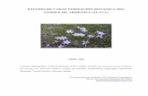 Caracterización botánica parque de Armentia - Web de la ... · Dado que en un estudio anterior (Uribe-Echebarría, 2004) ya se entregó al CEA el herbario correspondiente al parque