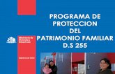 PROGRAMA DE PROTECCION DEL PATRIMONIO FAMILIAR …³n_CCHC_06.06... · Es el PROGRAMA DE PROTECCIÓN AL PATRIMONIO FAMILIAR regido por el DS. 255/2006, el cual regula un subsidio