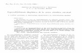 Rev. Esp. de Cir. Ost., 15, 9-18 (1980.) · Rev. Esp. de Cir. Ost., 15, 9-18 (1980.) SERVICIO DE TRAUMATOLOGÍA y ORTOPEDIA C. C. 1.° DE OCTUBRE. MADRID Espondilolistesis displásica