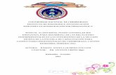 UNIVERSIDAD NACIONAL DE CHIMBORAZO INSTITUTO DE …dspace.unach.edu.ec/bitstream/51000/2131/2/UNACH-IPG-EMIP-2015-ANX... · JUEGO DE ROLES 14 Técnica casa- árbol- perro. 15 ...