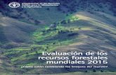 Evaluación de los recursos forestales mundiales 2015agricultura.gencat.cat/web/.content/de_departament/de02... · planeta, sus formas de gestión y de aprovechamiento. más informaciones