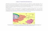 Unidad 6: Sistema de ...biomilenio.net/blog54/5419.pdf · El sistema de endomembranas se habría originado a partir del repliegue de la membrana plasmática de células procariontes
